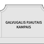 Pjautais kampais galvugalis