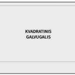 Kvadratinis galvugalis