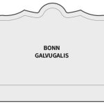 BONN galvugalis
